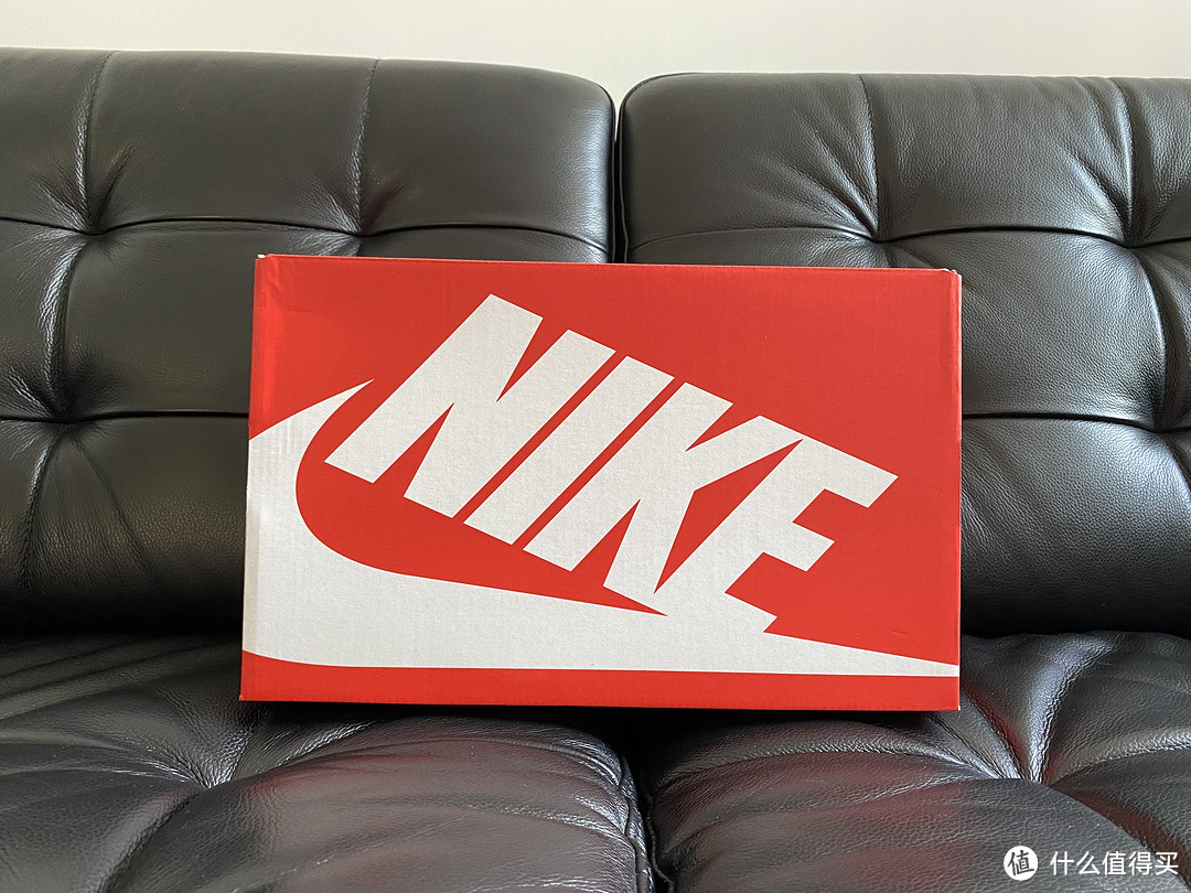 印满钩子的Nike Dunk Low Copy Paste