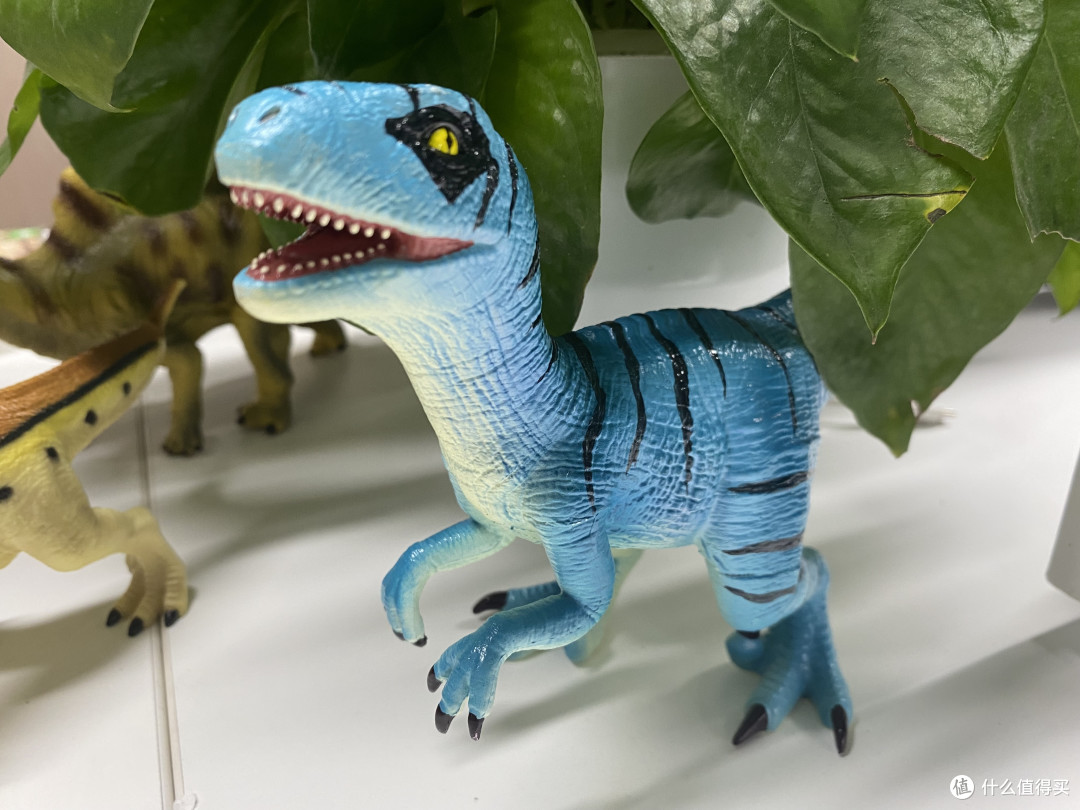 抢手蓝朋友上线recur悦酷幼年迅猛龙可爱到爆炸