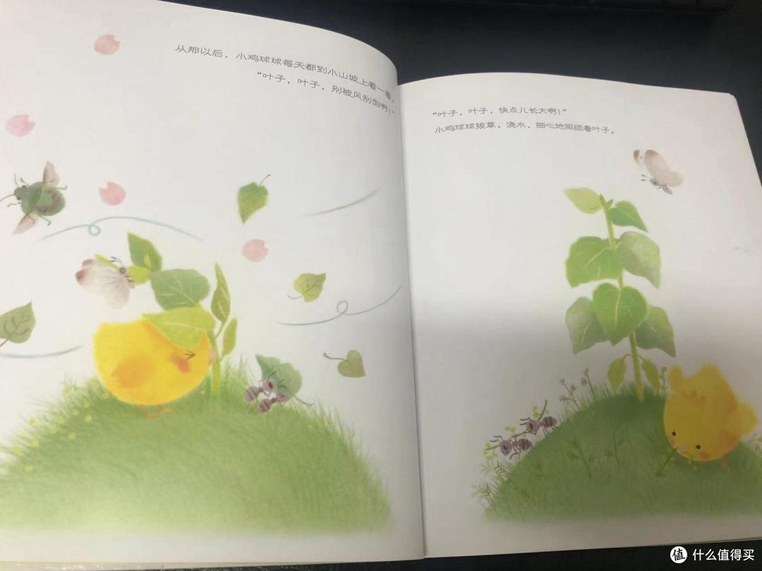 儿童生命教育书单 | 用温暖的故事带领孩子了解生命的意义