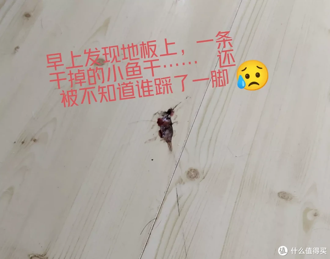 轻松实现光脚自由,拖地不出汗。添可,会思考的智能洗地机3.0,不止有五大提升