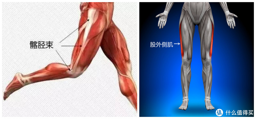 筋长一寸寿长十年，30个全身深度拉筋动作，越拉越年轻