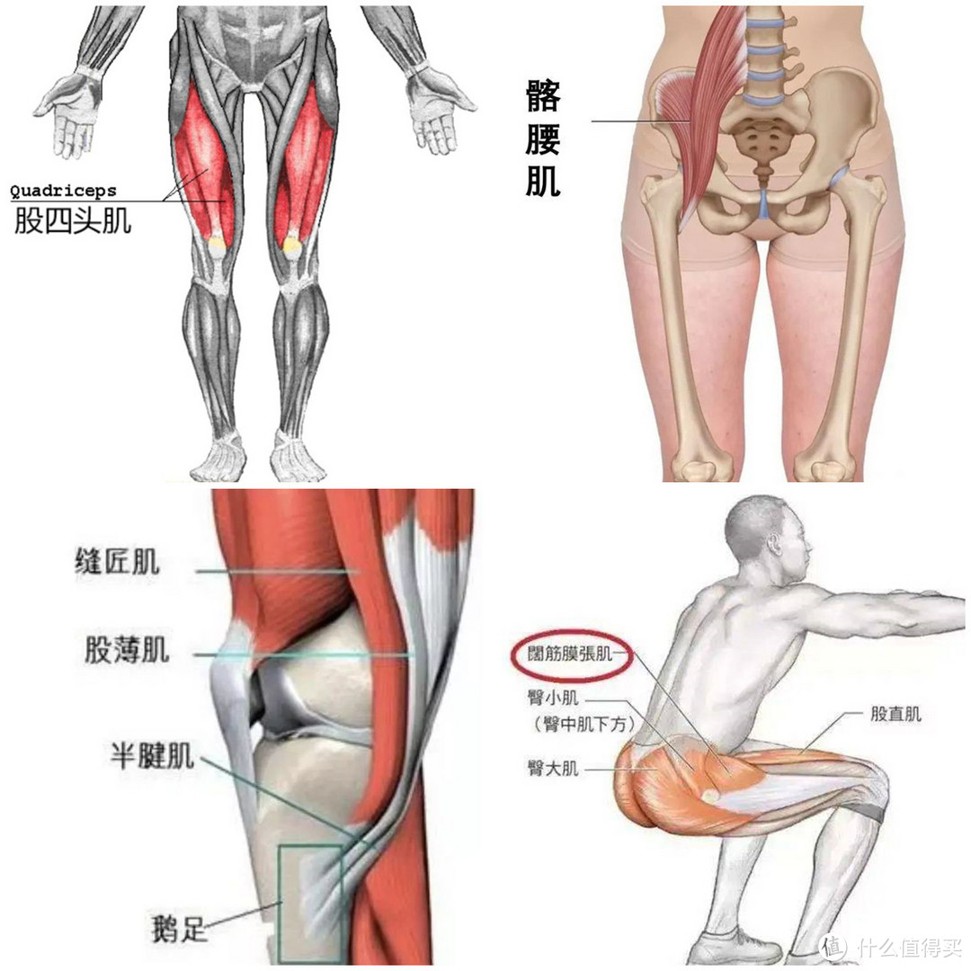 筋长一寸寿长十年，30个全身深度拉筋动作，越拉越年轻