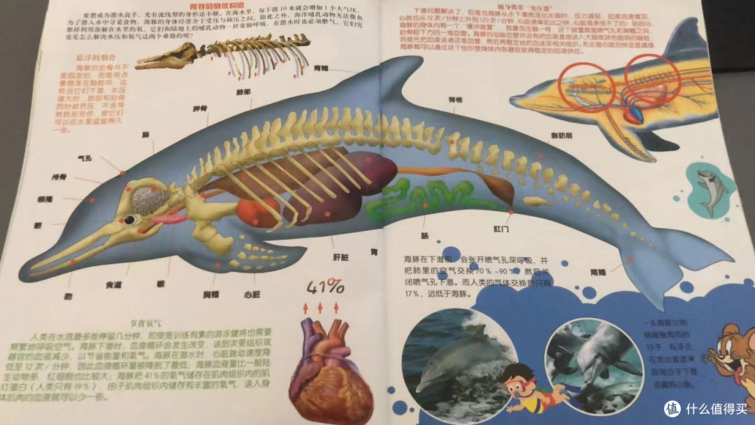 与其疯狂买绘本 不如为孩子订阅一份值得期待的画报