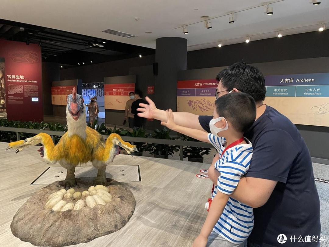 拒绝带娃走马观花看博物馆？这趟上海自然博物馆之行，你可以参考