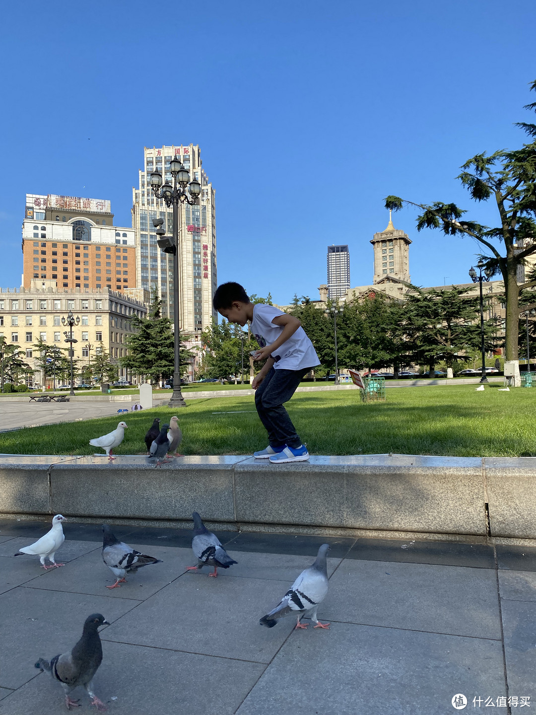 中山广场喂鸽子