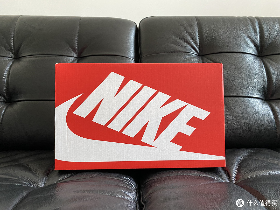 鳄鱼纹的Nike Dunk Low，你看见过吗？