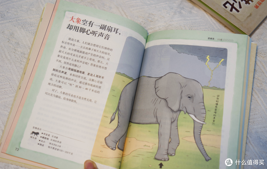 百科全书看不下去？这份奇趣动物书单，让孩子变身动物学家