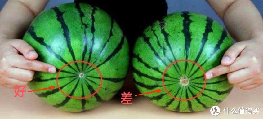 你，真的会吃瓜吗？市售西瓜品种大起底，吃了几千斤西瓜以后，才发现这个地方的西瓜才是yyds！