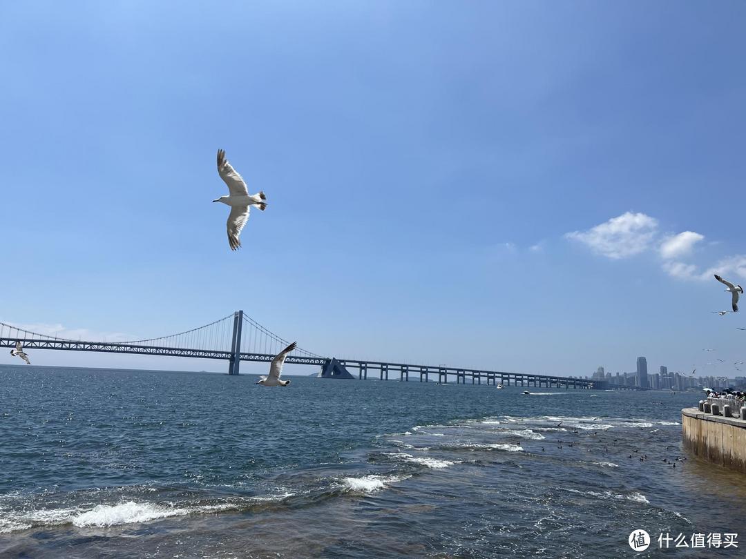 一家五口七天「沈阳·大连自驾游」：佛系休闲追忆之旅