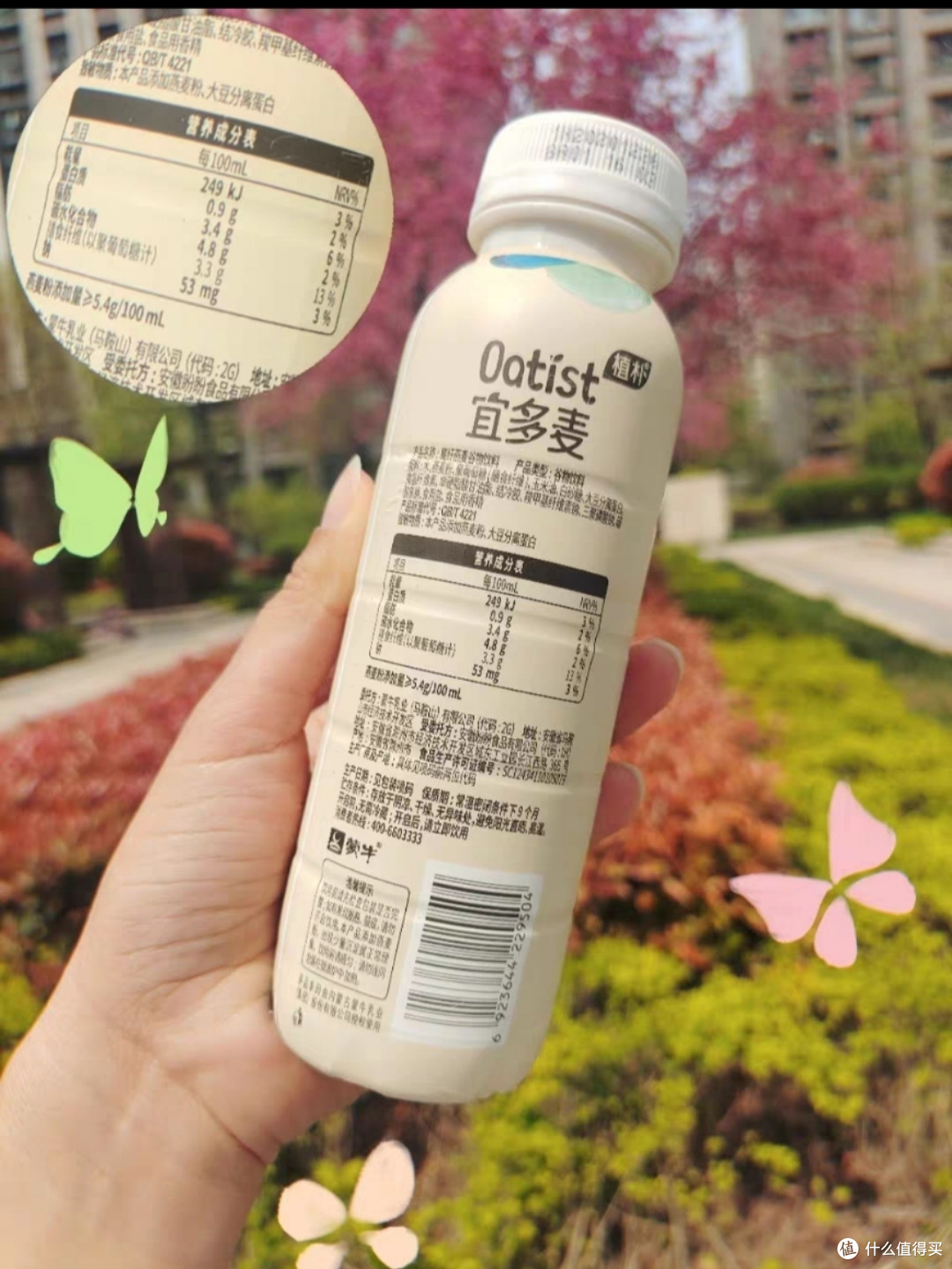 这个燕麦饮料绝了！健康养生又美味