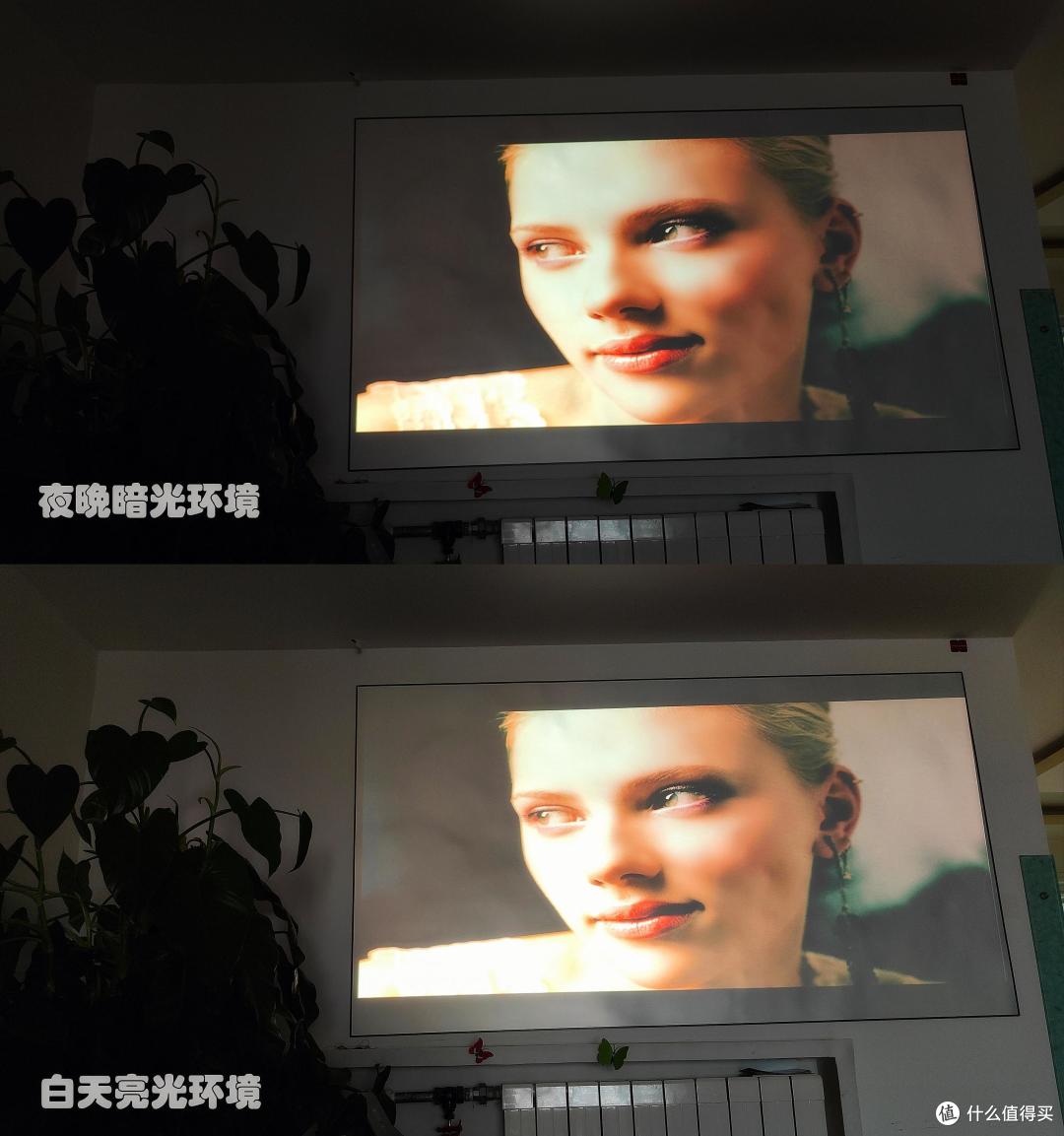 全天候投影解决方案,抗光效果出众,菲斯特S1画卷光学屏体验