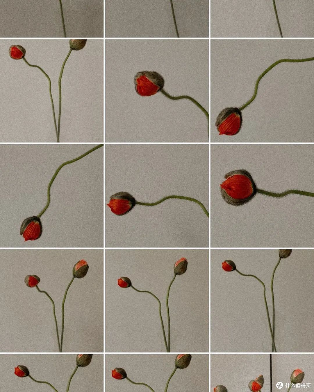 你的阔腿裤和The Row的,可能只差这篇稿子的距离