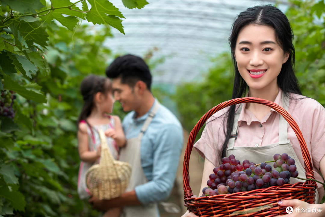 买葡萄时,颜色越深越甜?老果农教你6个小技巧,甜美多汁还新鲜