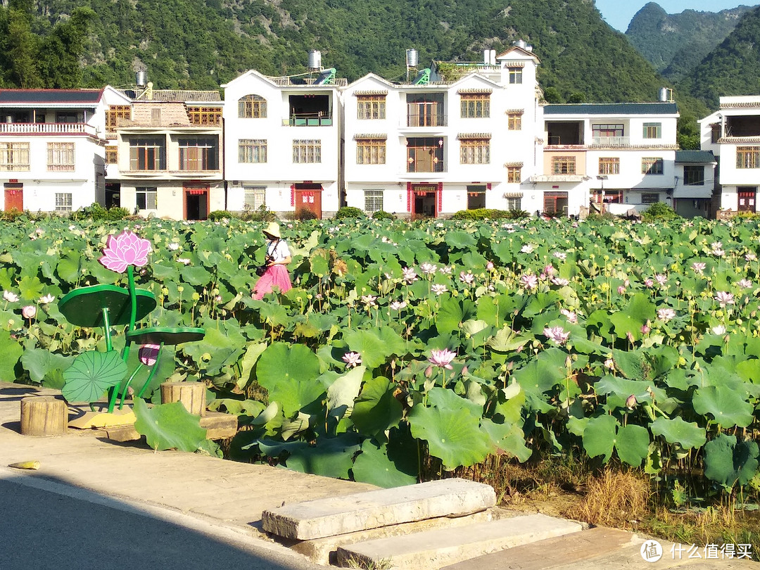 驱车千里，边走边玩，穿越粤桂贵，到少数民族聚居地过节-2-广西柳州鹿寨篇