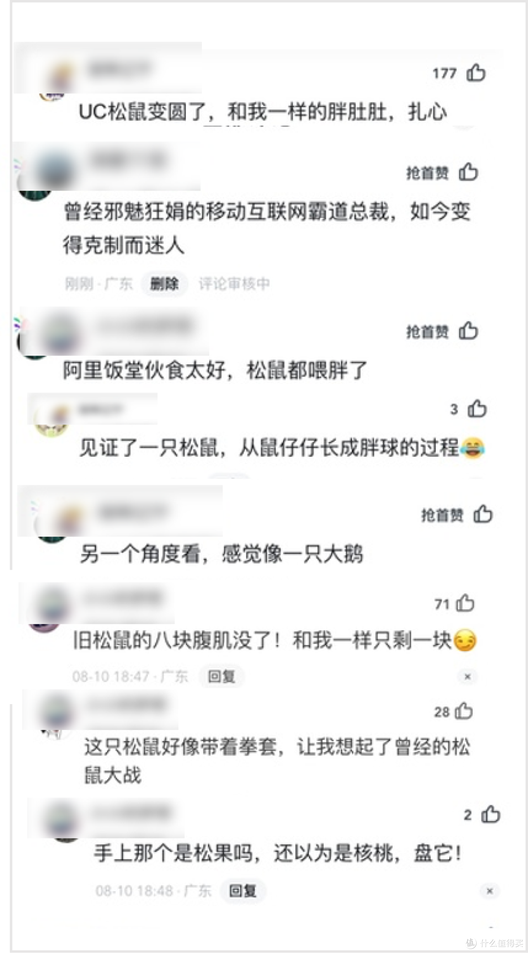 那只陪伴我青春的UC松鼠变了,but少年感依旧