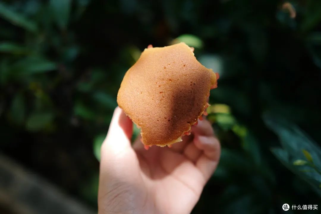 得多舒服的城市,让人下辈子只想在这躺平!