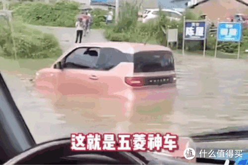就没见过哪个过气网红,还能好看成这样的
