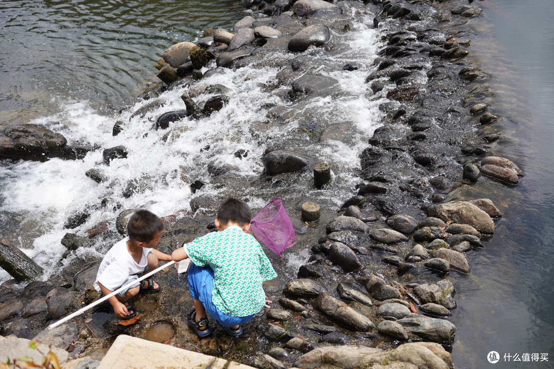 很多小朋友捞鱼