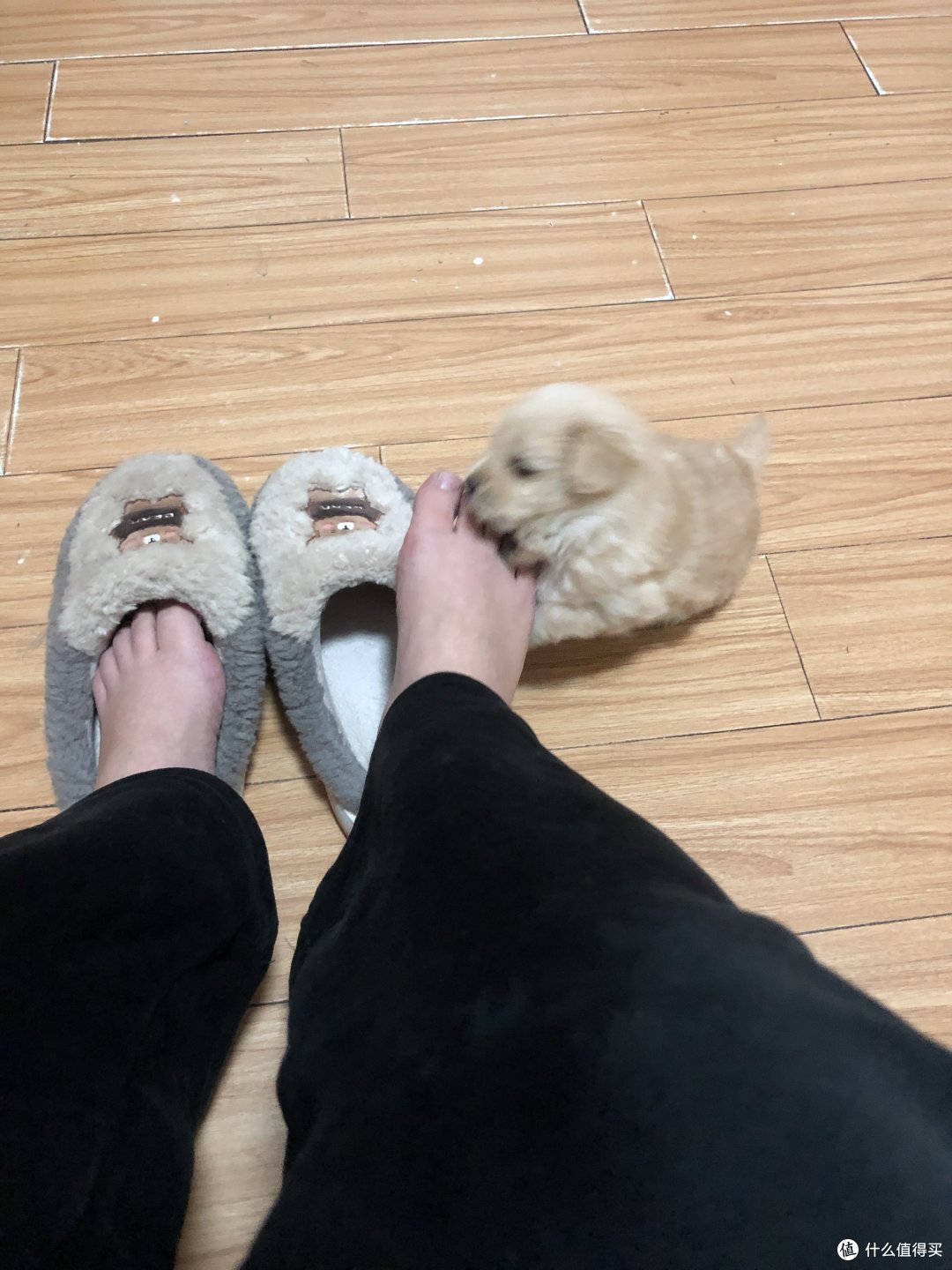 啃脚