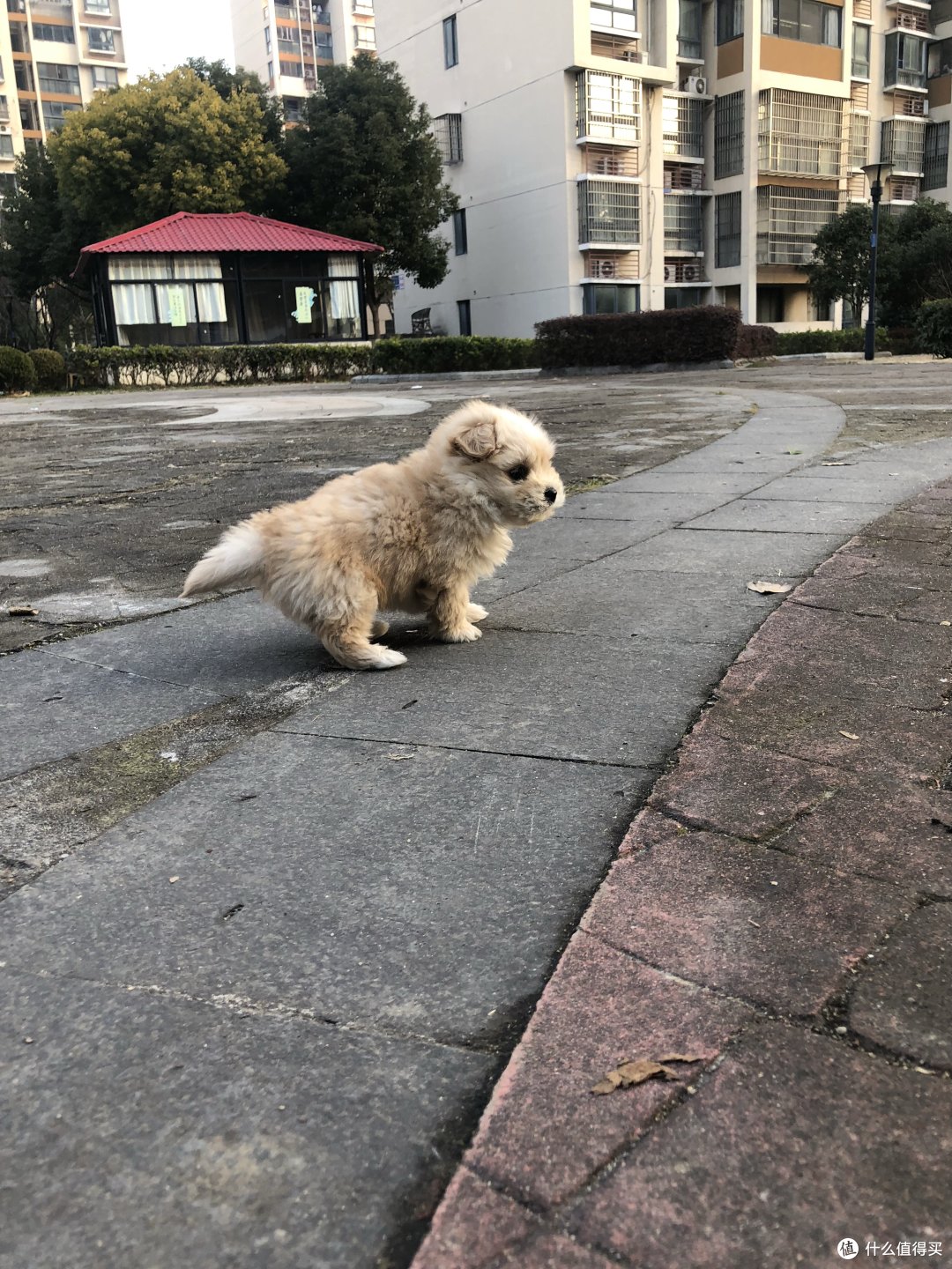 溜溜