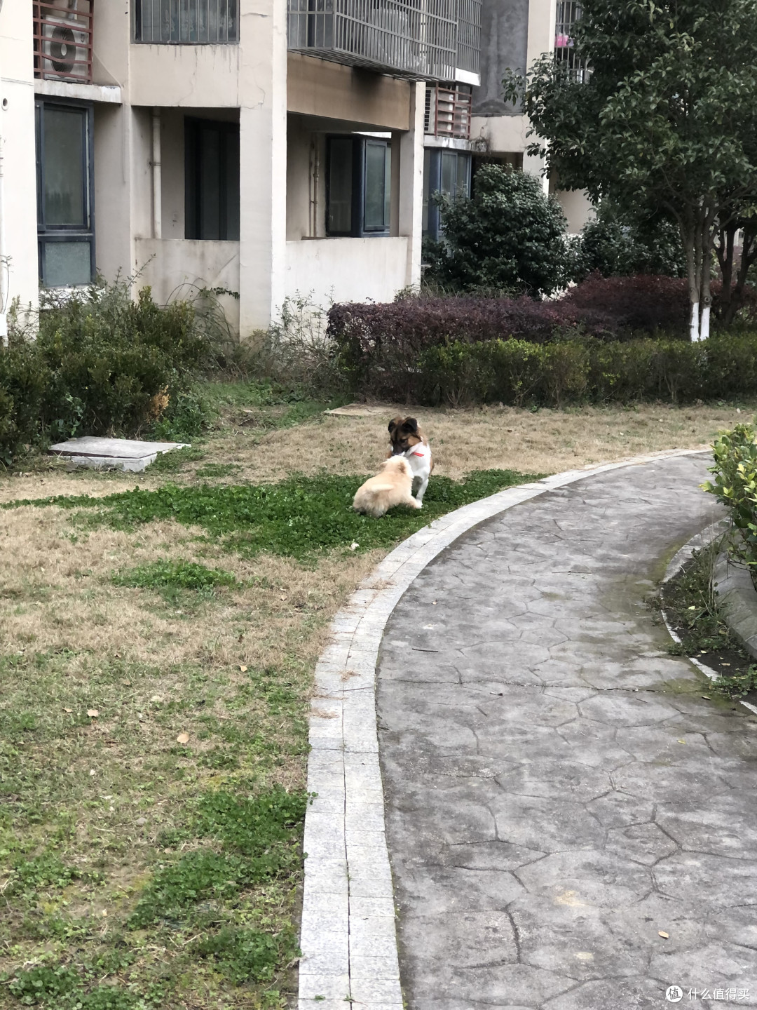 交朋友