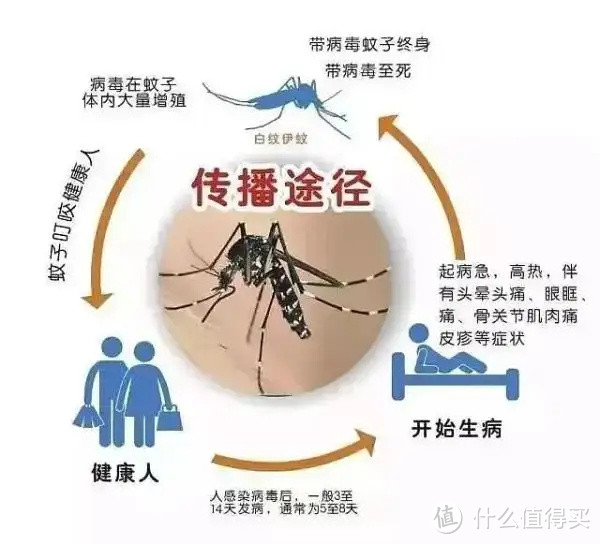 防蚊大作战，你需要的这里都有，最后有必杀技