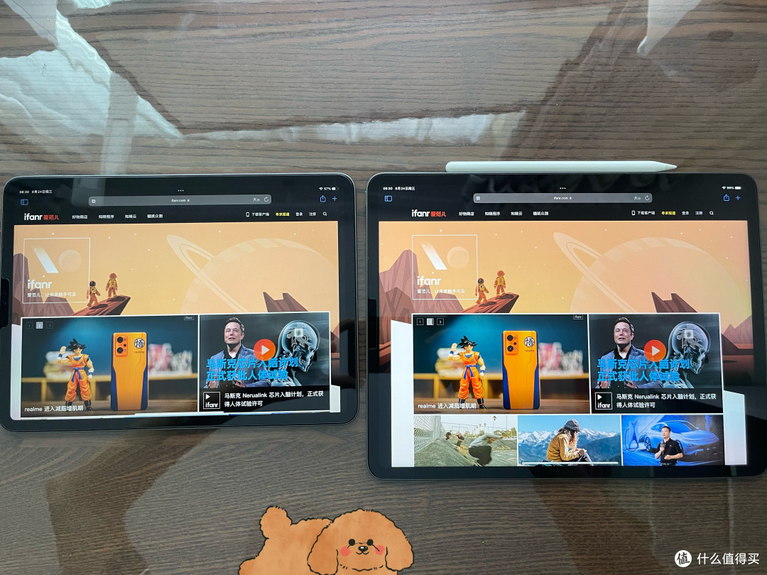 safari