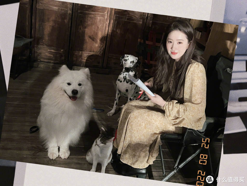 刘亦菲35岁生日晒近照，与猫咪狗狗同框状态超好，衣品也越来越精致，古装和日常却是两种风格？