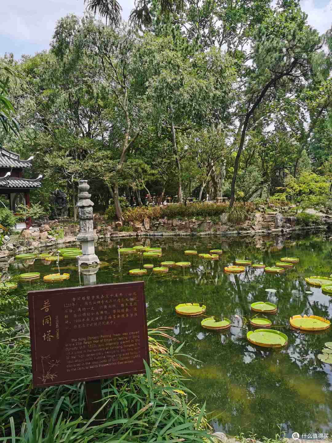 猗猗绿竹,鸳鸯戏水,小桥亭台,在【古猗园】感受古典园林