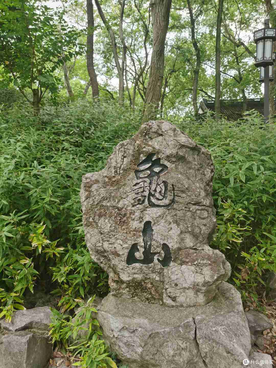 猗猗绿竹,鸳鸯戏水,小桥亭台,在【古猗园】感受古典园林