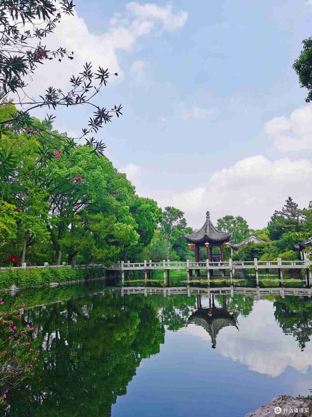 猗猗绿竹,鸳鸯戏水,小桥亭台,在【古猗园】感受古典园林