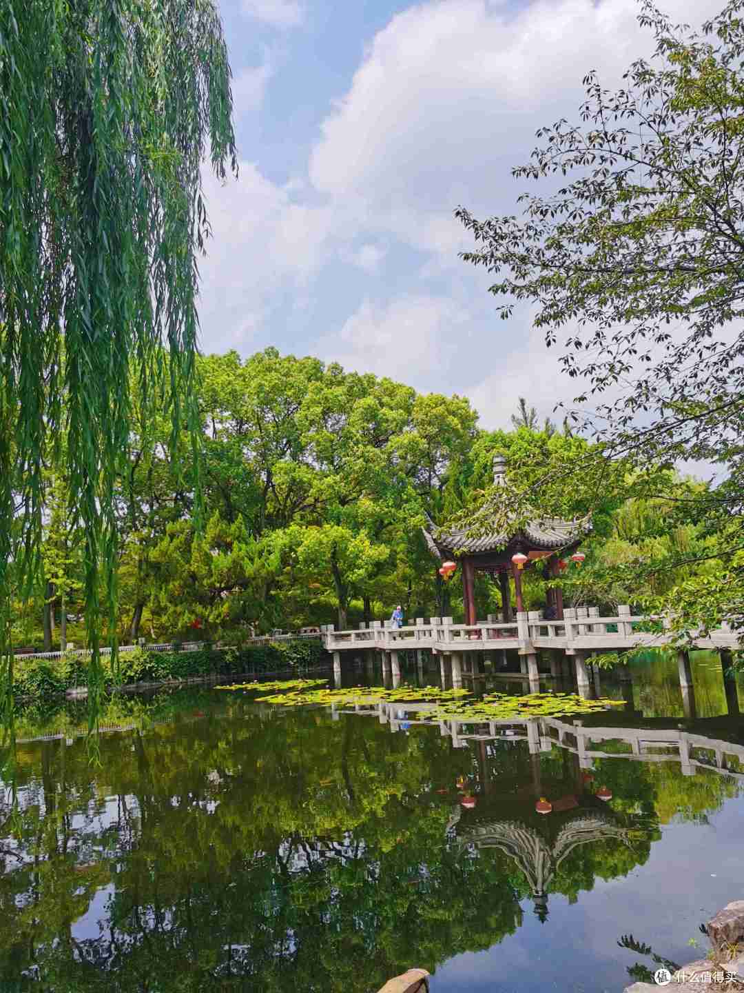 猗猗绿竹,鸳鸯戏水,小桥亭台,在【古猗园】感受古典园林