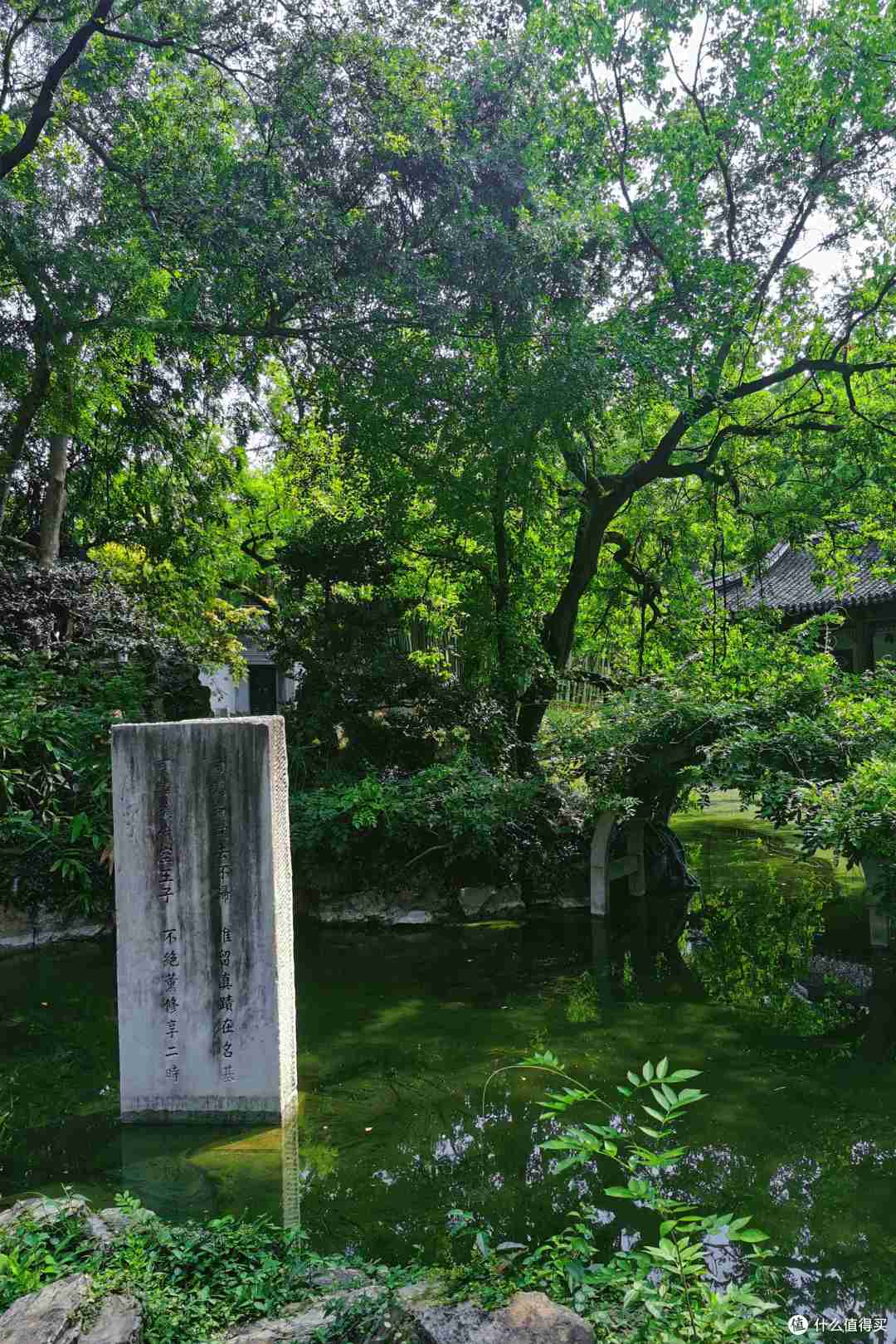 猗猗绿竹,鸳鸯戏水,小桥亭台,在【古猗园】感受古典园林