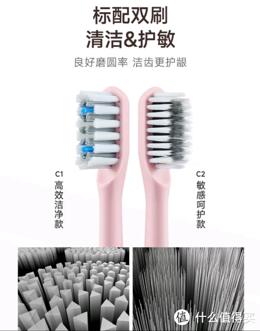 不同刷头的放大图