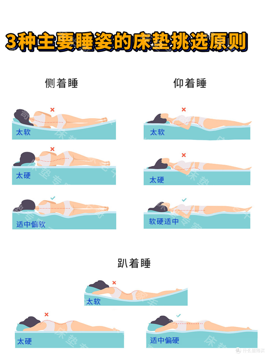不同睡姿脊柱状态