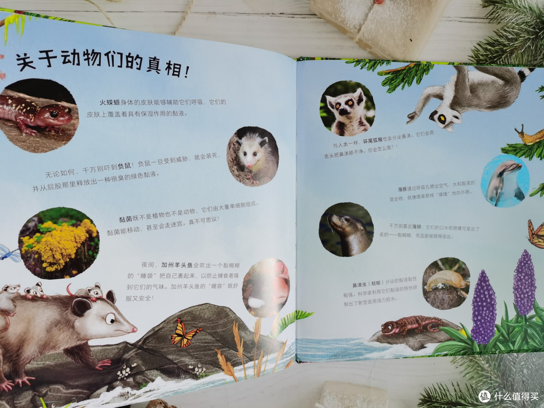 让孩子爱上阅读,从这套探索屎尿黏液的绘本开始吧