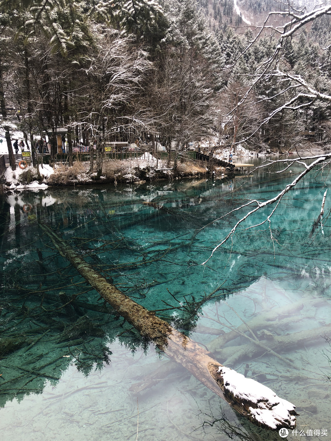 怀念打飞的去九寨沟看雪的日子~