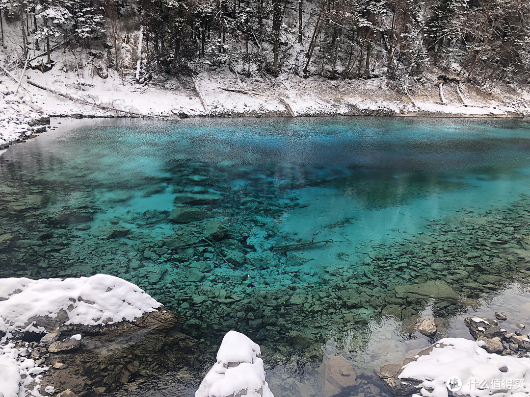 怀念打飞的去九寨沟看雪的日子~