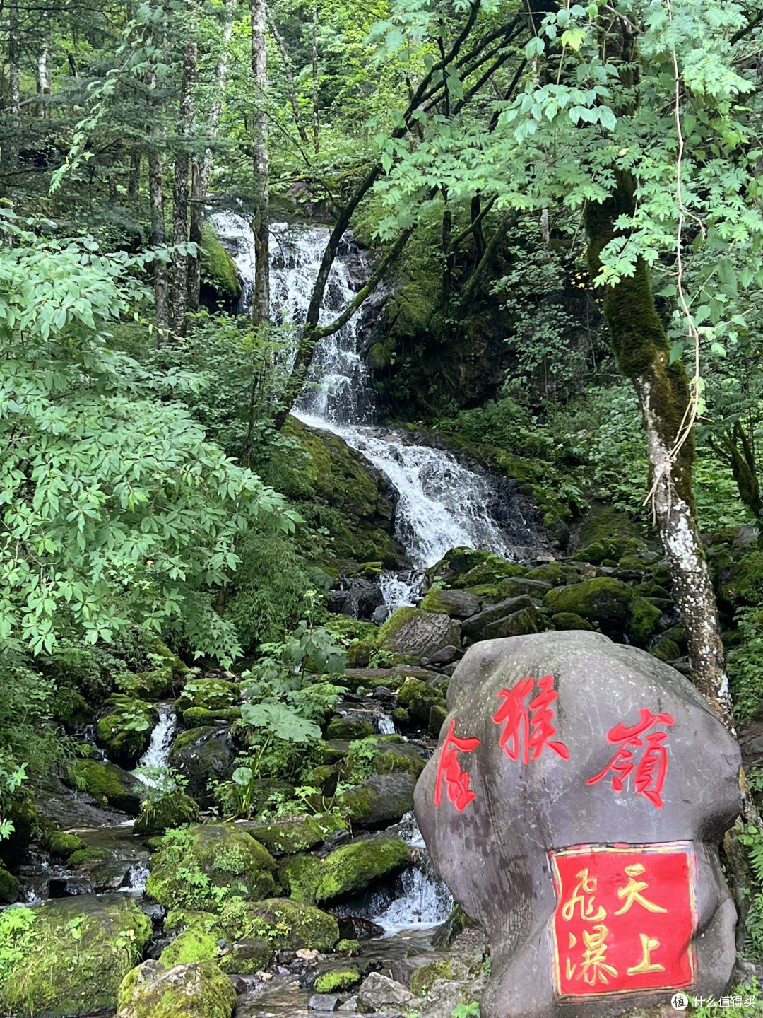 今夏神农架之旅二(五天四夜之旅)