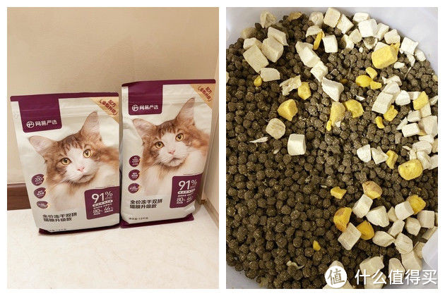 猫粮测评1丨猫粮什么牌子好?猫粮性价比推荐,深度猫粮测评分析