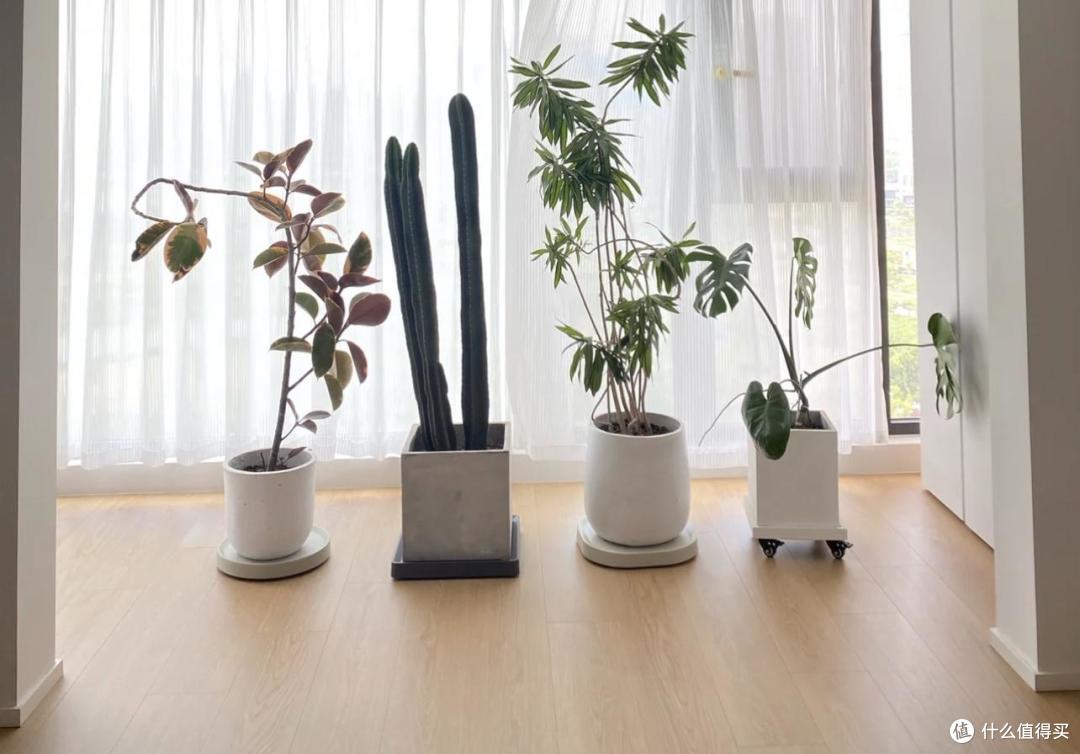 看了这10个懒人好物,才明白,这届的年轻人为了省力有多拼?