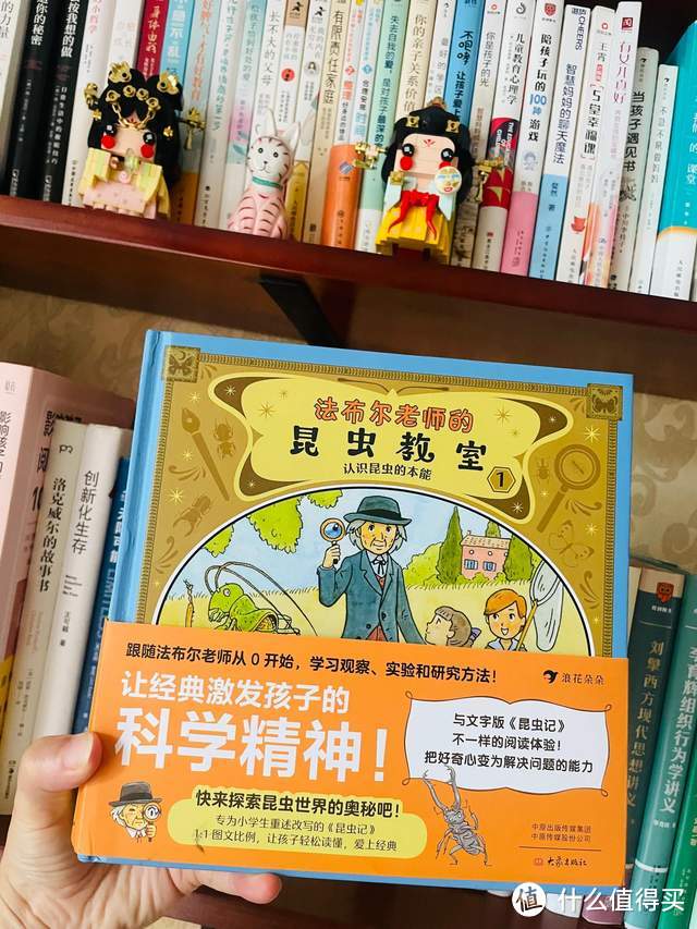 《昆虫记》孩子读不懂？强烈推荐日本这套专门为小学生重述改写的