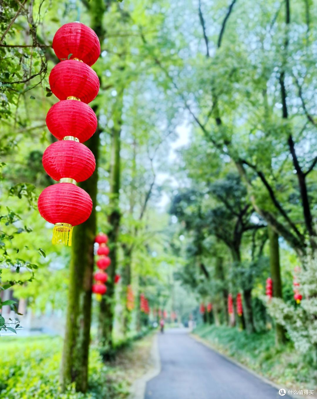 真爱不过如此- 04:30 早起参加跑友10km拉练活动-2022-08