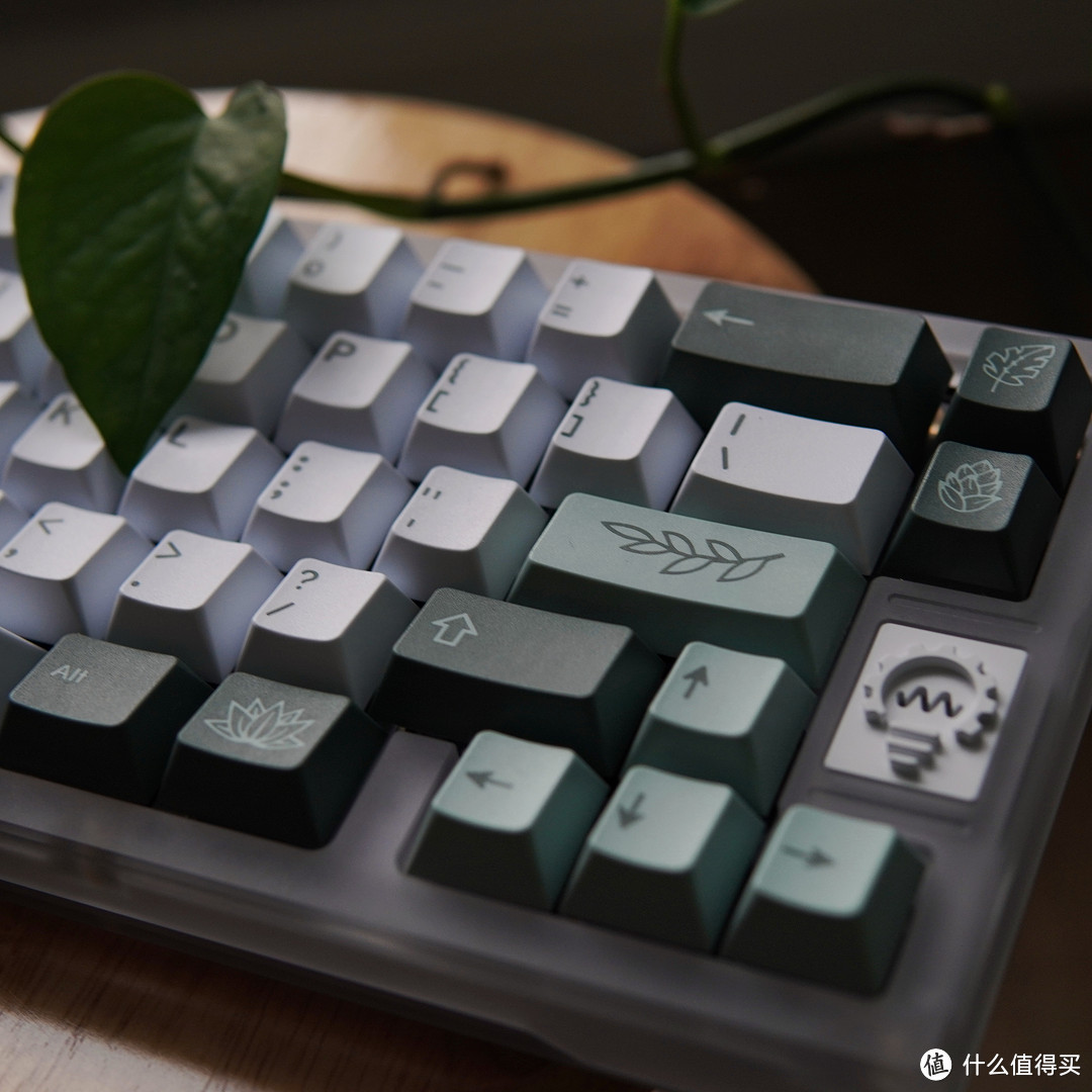 夏日清凉 Think 6.5 & GMK Botanical 植物园