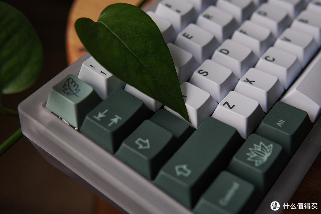 夏日清凉 Think 6.5 & GMK Botanical 植物园