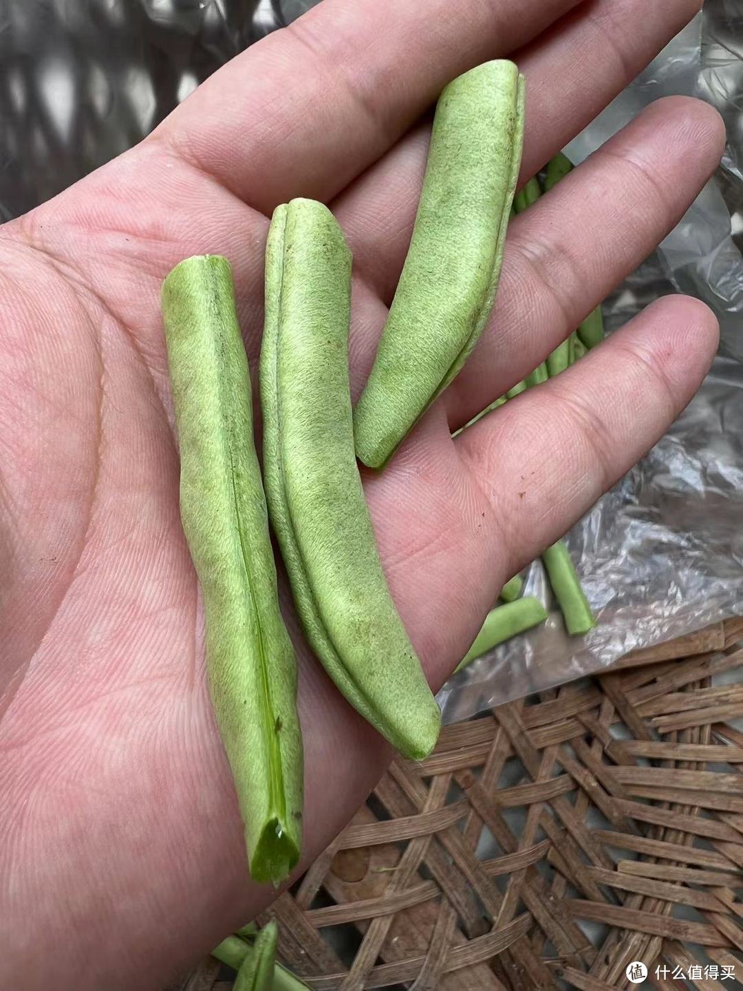 记录一人美食入秋后的两道菜，三层肉爆炒四季豆和豆腐，美味可口真下饭！