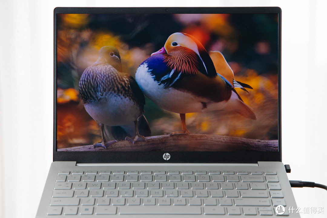 i5-12500H加持，2.8K OLED屏显，惠普星14 Pro如何稳坐高性能轻薄本标杆？