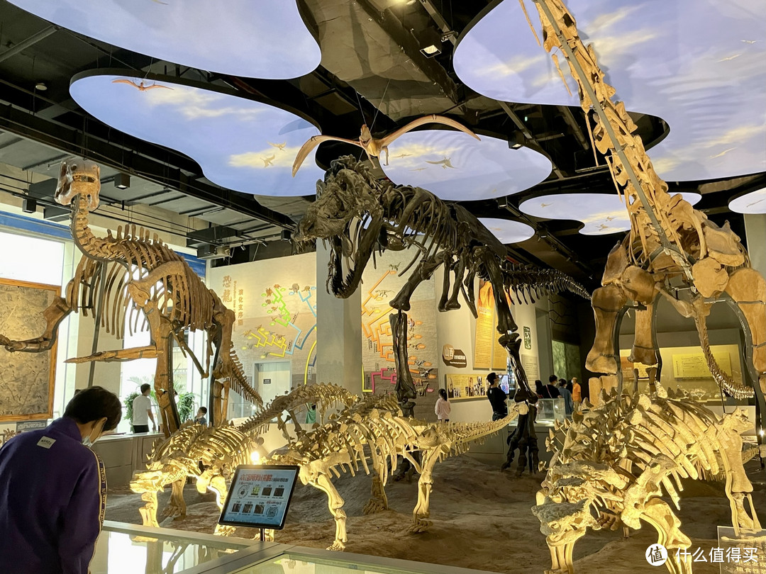 正好赶上山西地质博物馆的恐龙化石展出