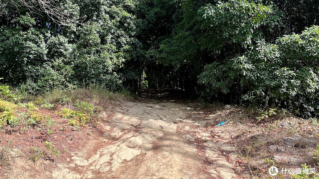 梅岭印象7,六坡-雷公尖,山色不改颜