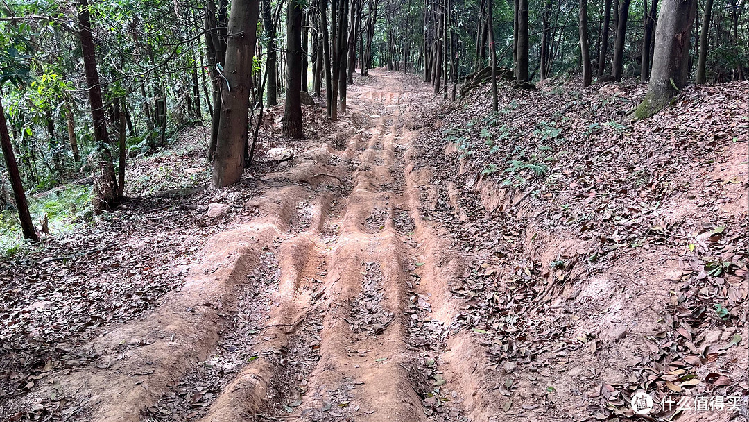 梅岭印象7，六坡-雷公尖，山色不改颜